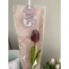 Gumi tulipán csomagolóban nőnapi ajándék - sötétlila