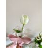 Prémium gumi tulipán masnis tartóban nőnapi ajándék - fehér