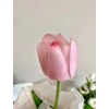 Prémium gumi tulipán masnis tartóban nőnapi ajándék