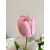 Prémium gumi tulipán masnis tartóban nőnapi ajándék