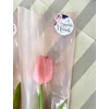 Gumi tulipán csomagolóban nőnapi ajándék - rózsaszín