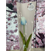 Gumi tulipán csomagolóban nőnapi ajándék - világoskék