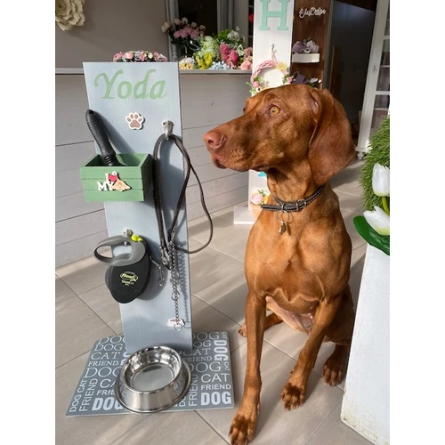 80 cm-es tömör fából készült állvány, melyen kényelmesen elhelyezhetjük a kedvenceink kellékeit, mint a pórázok, nyakörvek, a kis ládikában pedig tarthatjuk a kutyazacskót, fésűt, bármit. Az állvány alján tálalátét található, melyre rátehetjük kedvencük t